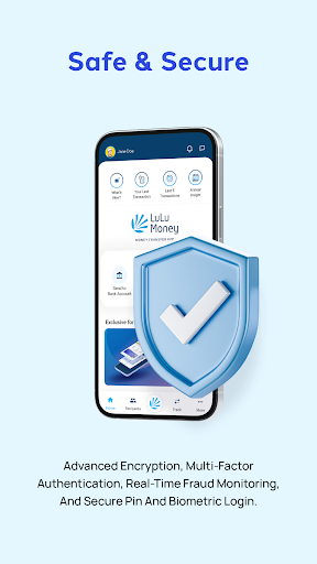 LuLu Money screenshot